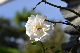 image0472