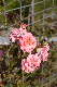image0474