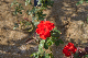 image0476