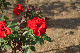 image0477