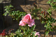 image0478