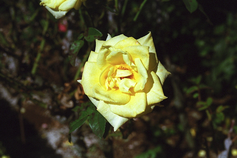 image0068