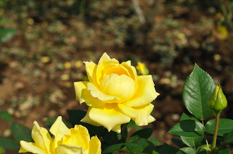 image0212