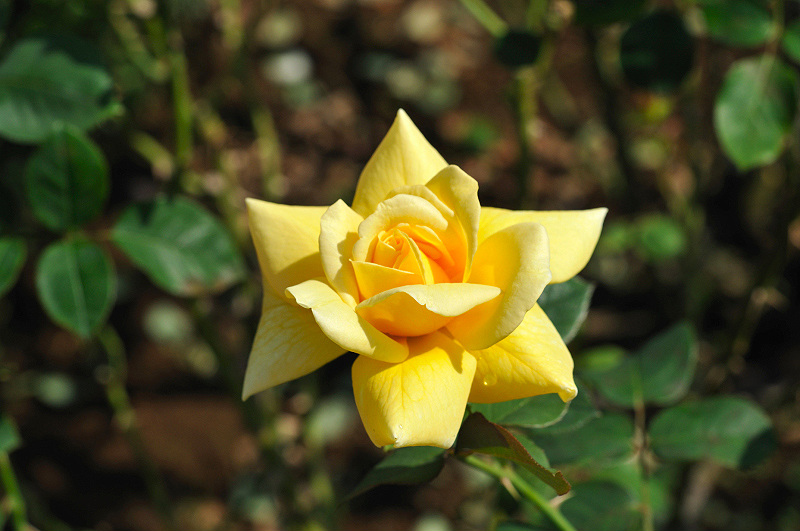 image0244