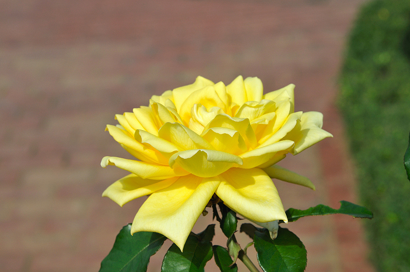 image0254