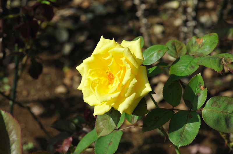 image0281