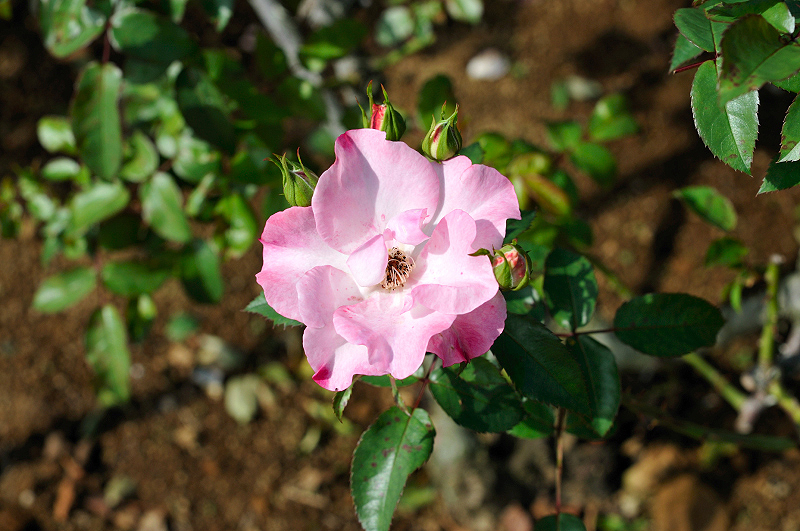 image0282