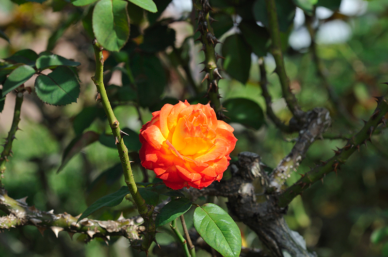 image0285