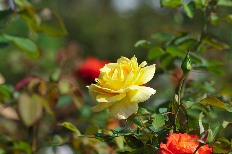 image0287