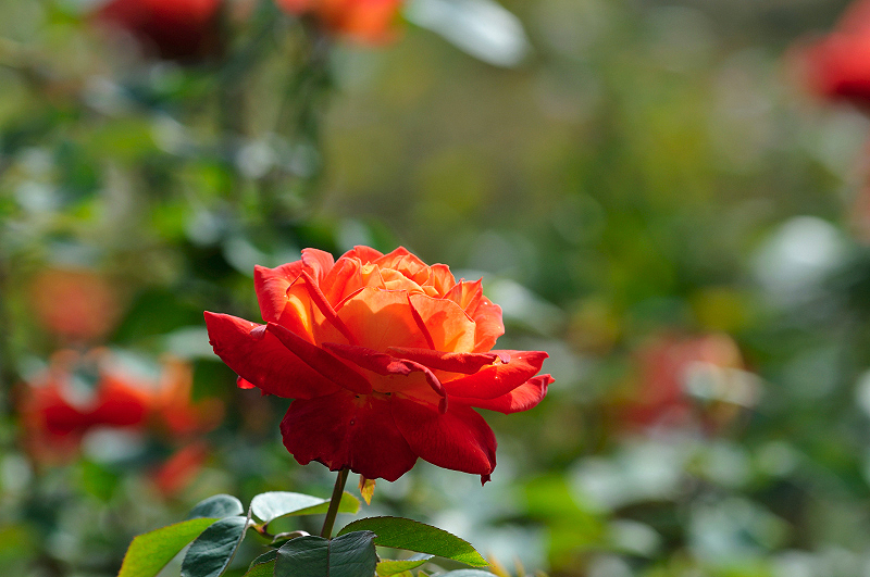 image0289