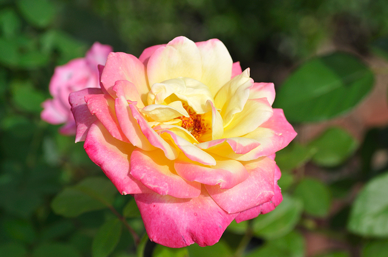 image0294