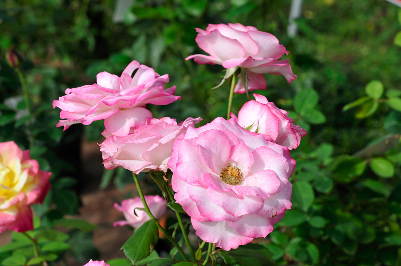 image0298