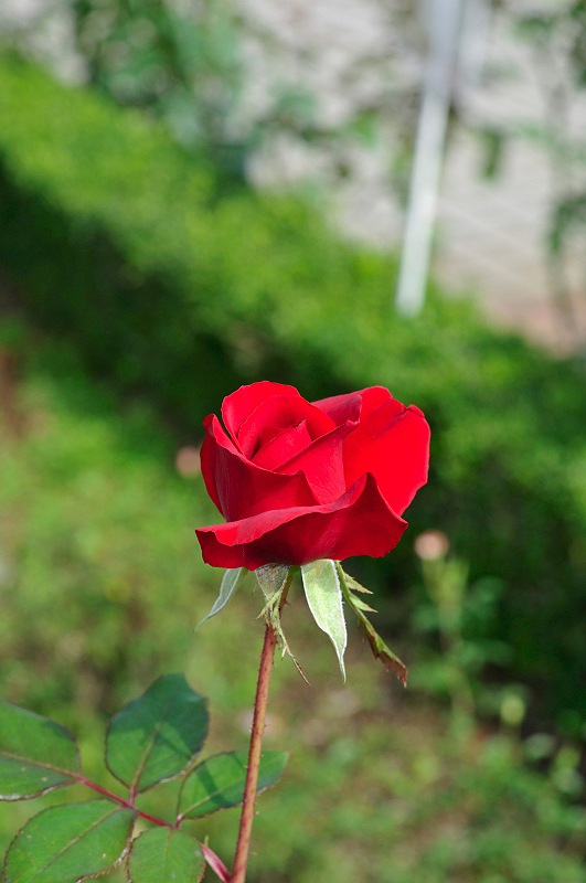 image0299