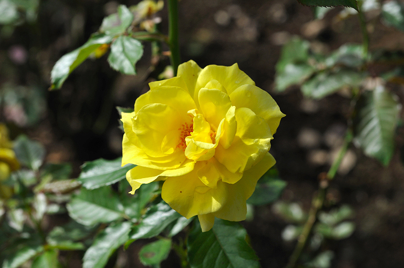 image0301
