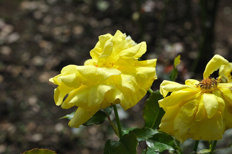 image0302