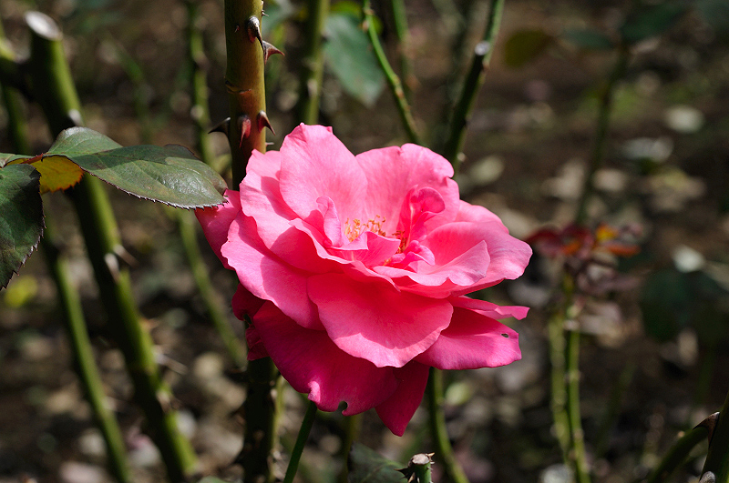 image0303