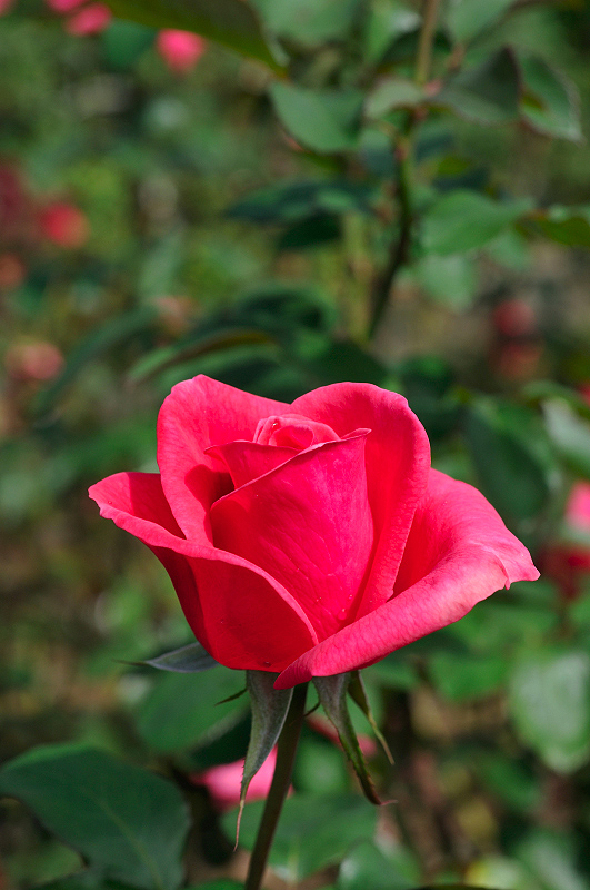 image0304