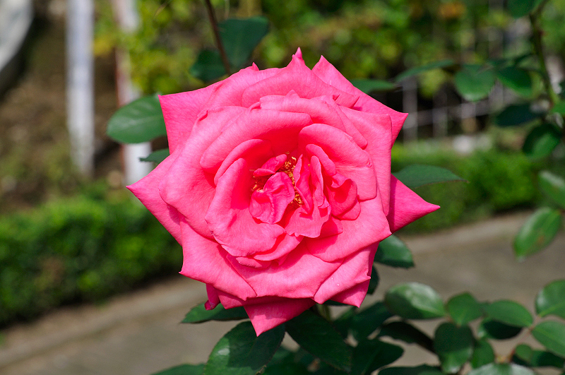 image0305