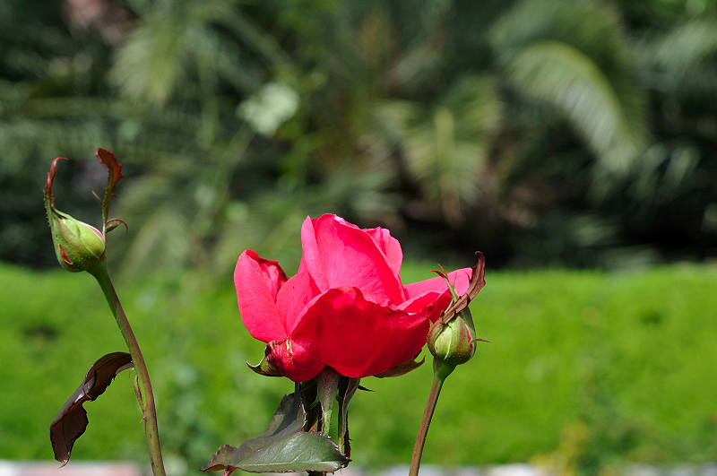 image0306