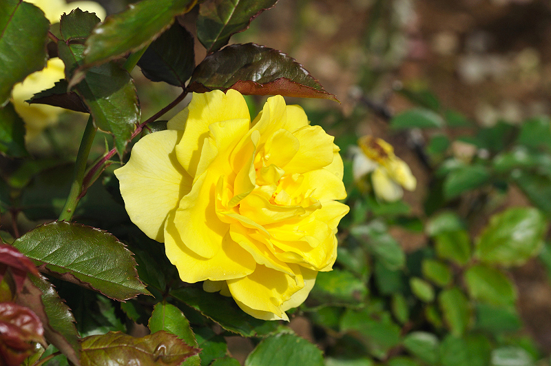 image0307