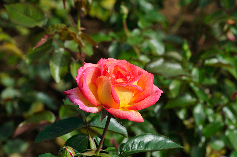image0310