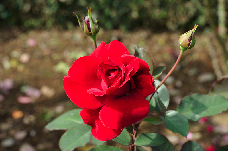 image0311