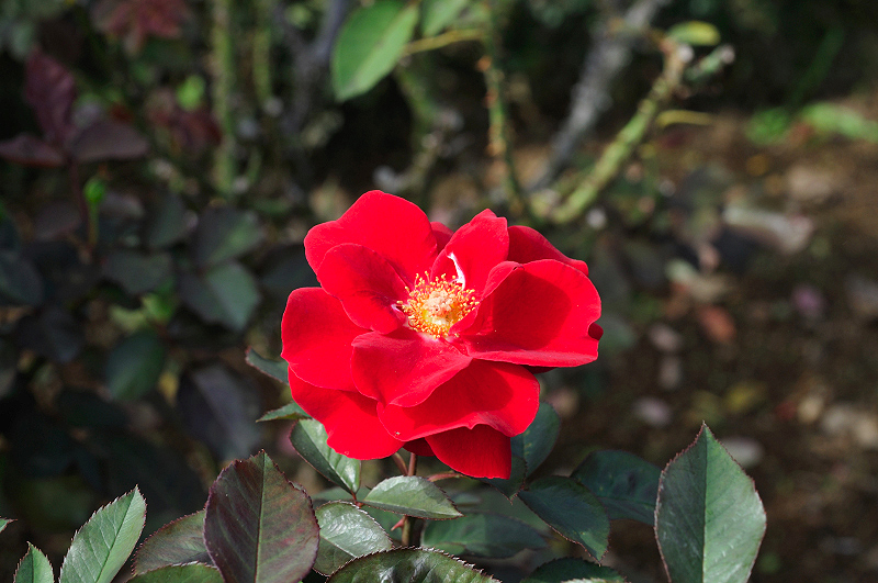 image0314