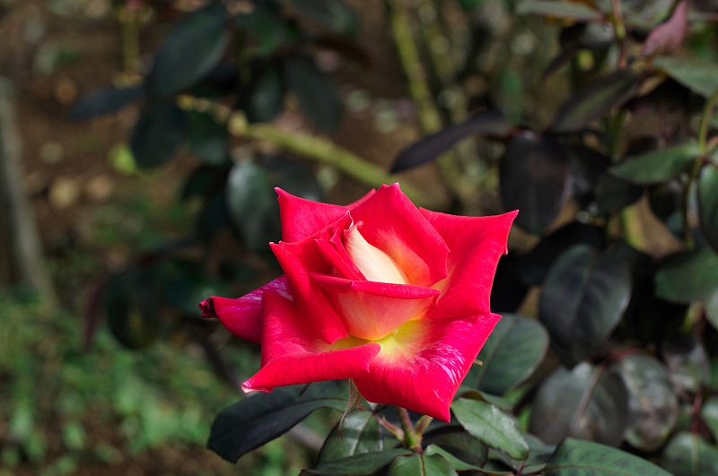 image0316