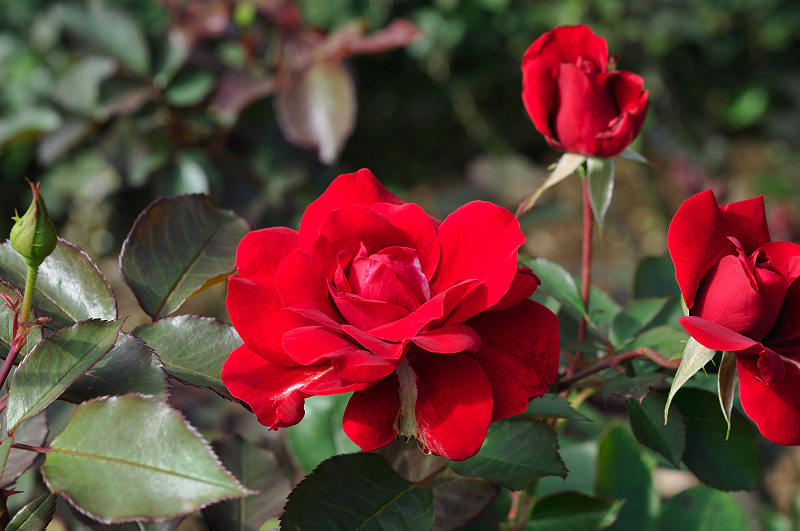 image0318