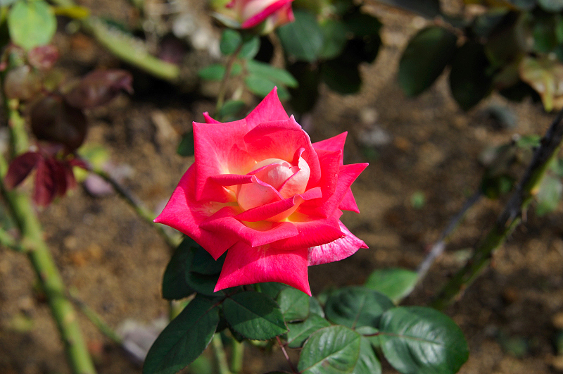 image0319
