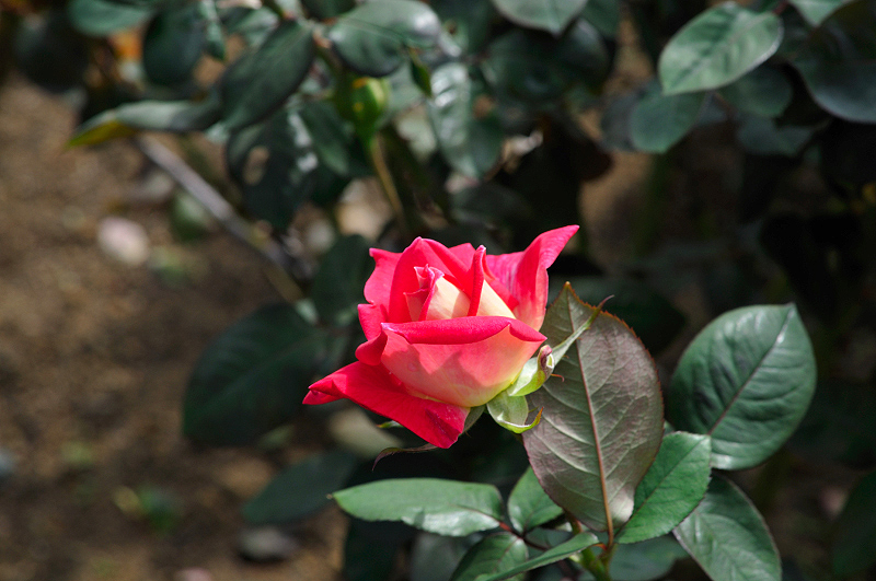 image0320