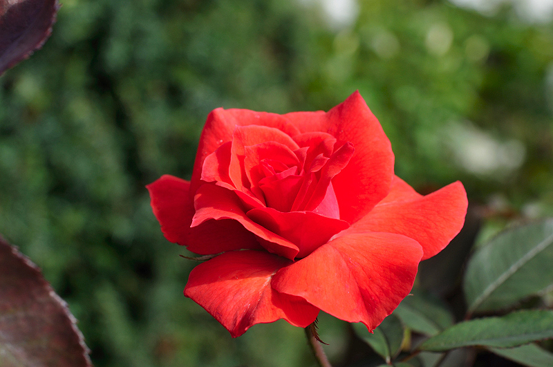 image0323