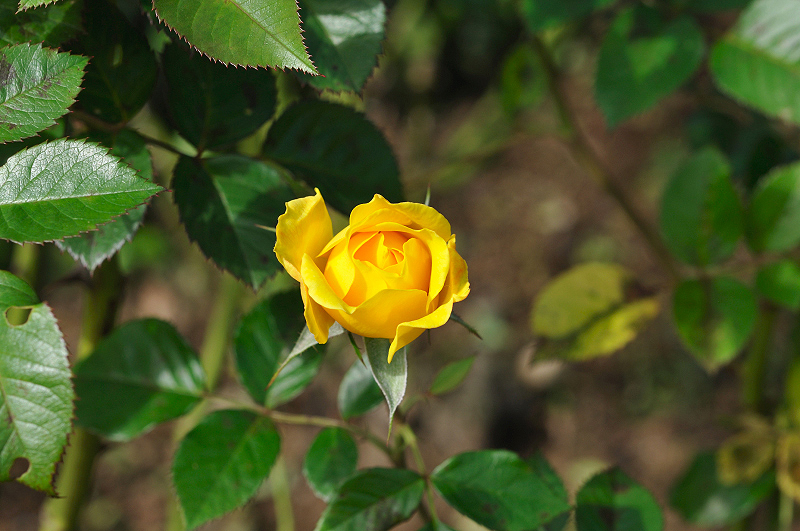 image0324