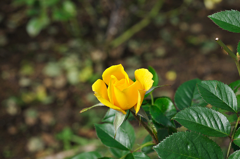 image0325