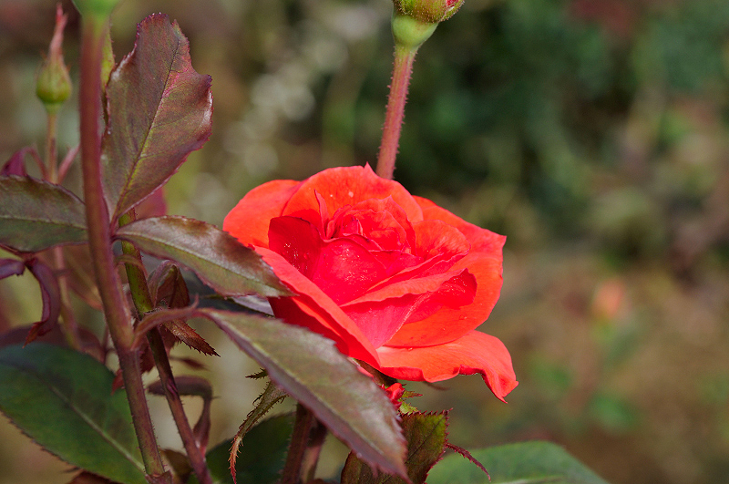 image0326