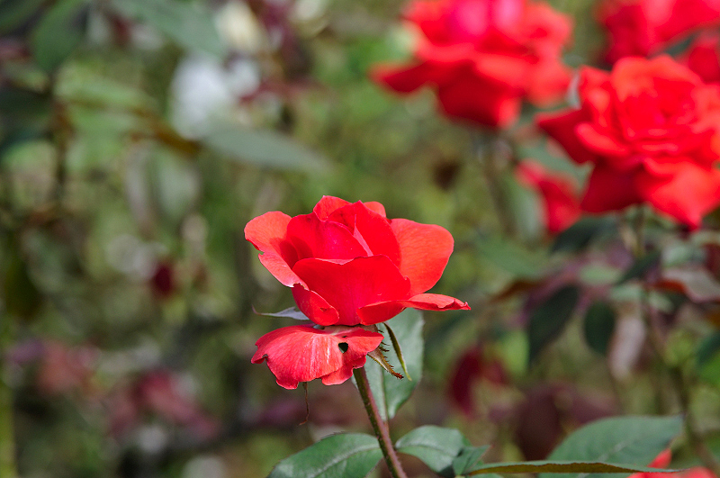 image0328