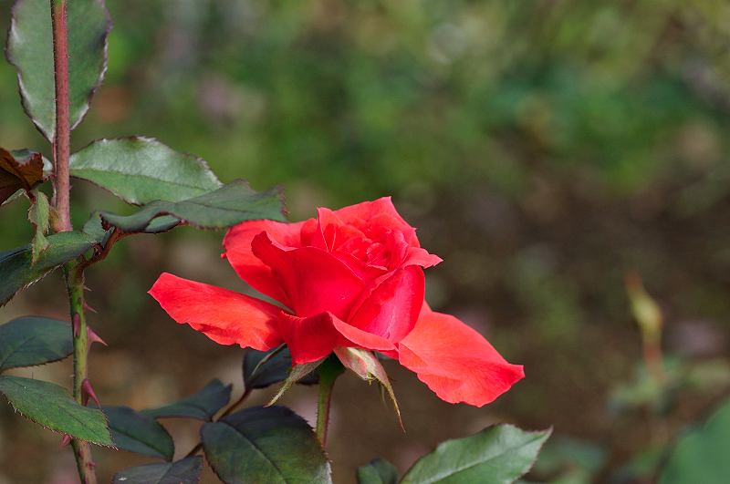image0330