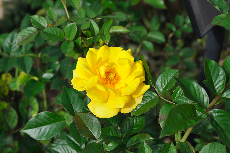image0331