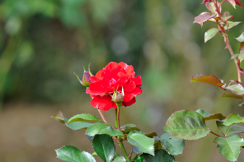 image0340