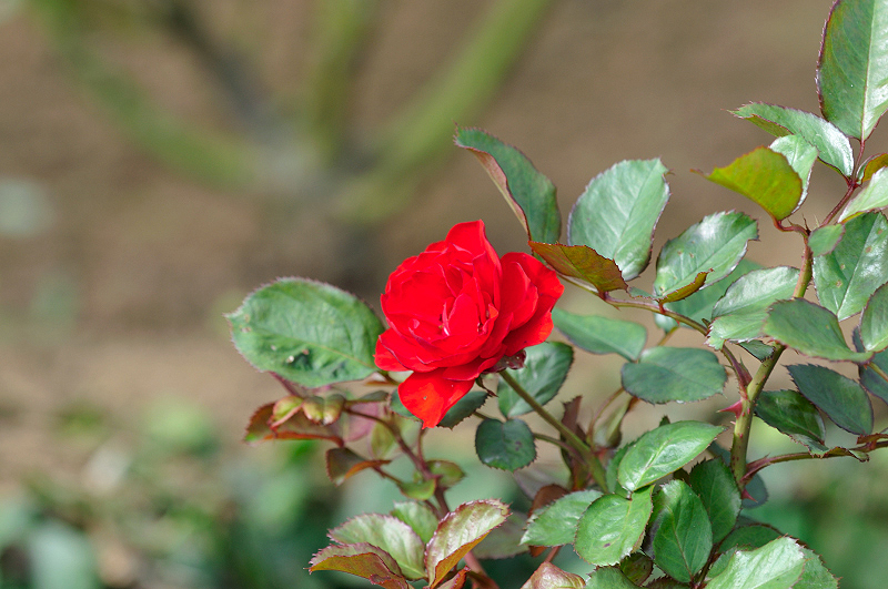 image0341