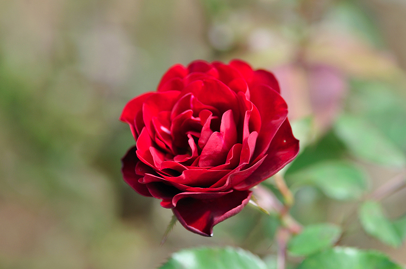 image0346