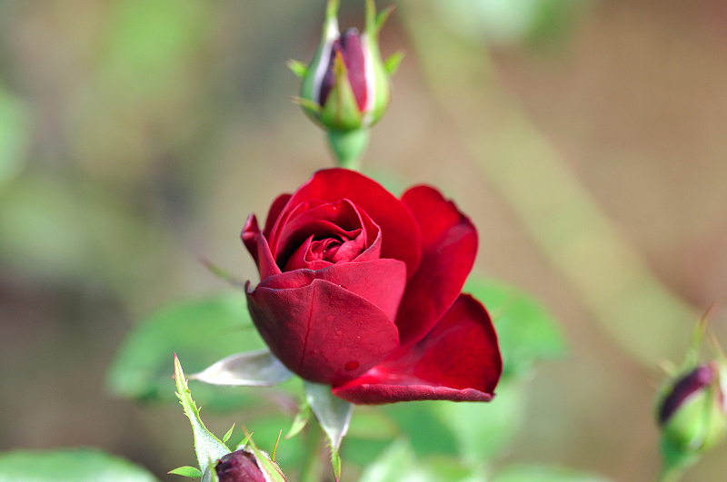 image0347