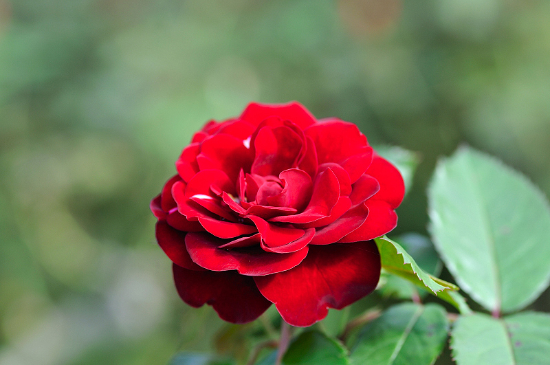 image0348