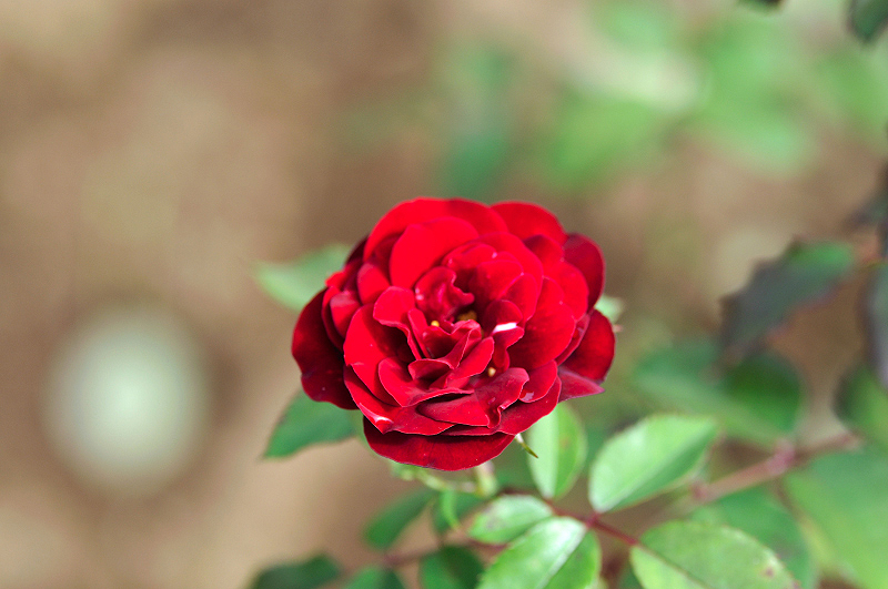 image0349