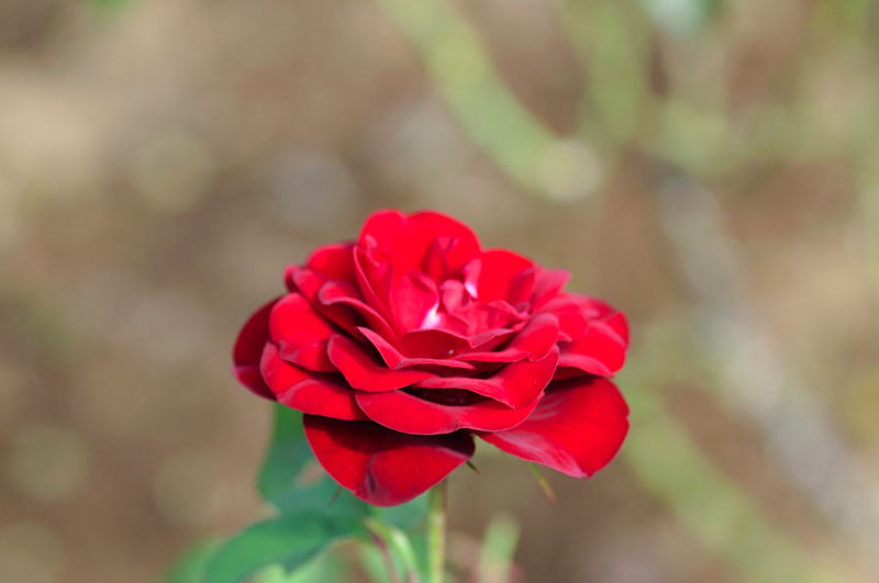 image0351