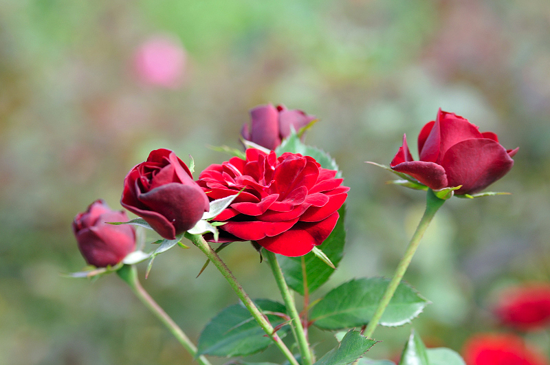 image0354