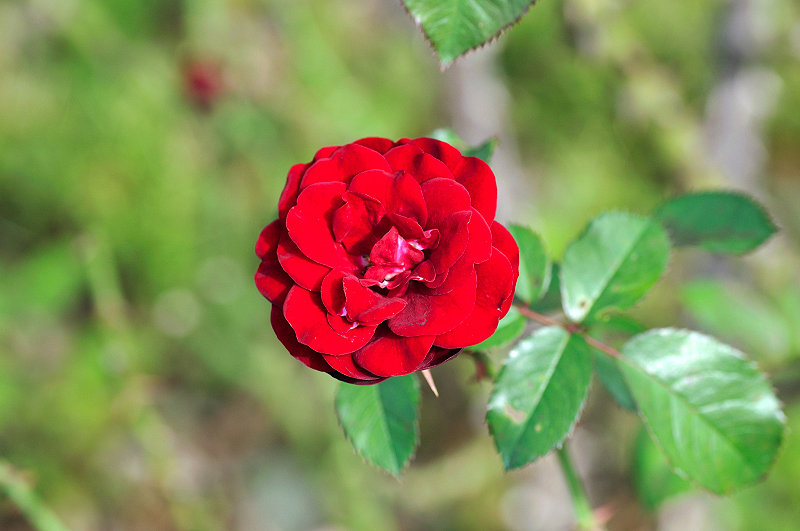 image0359