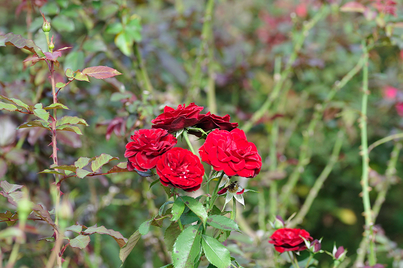image0360