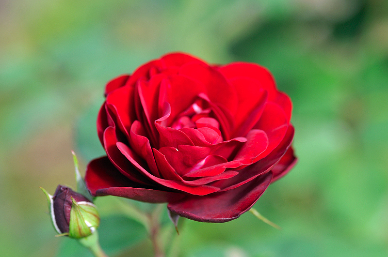 image0363