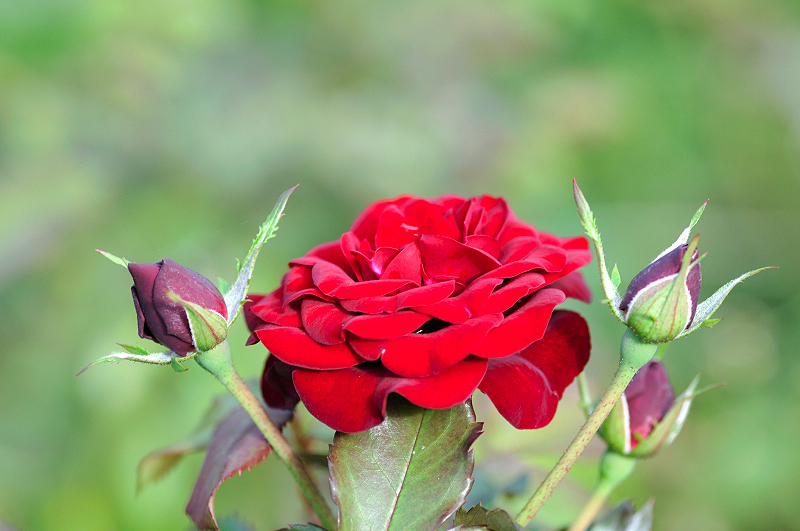 image0368